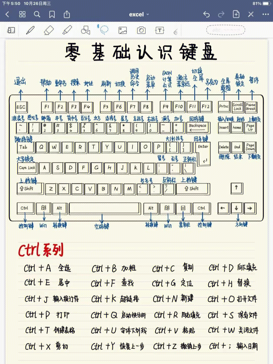 Word文档常用快捷键